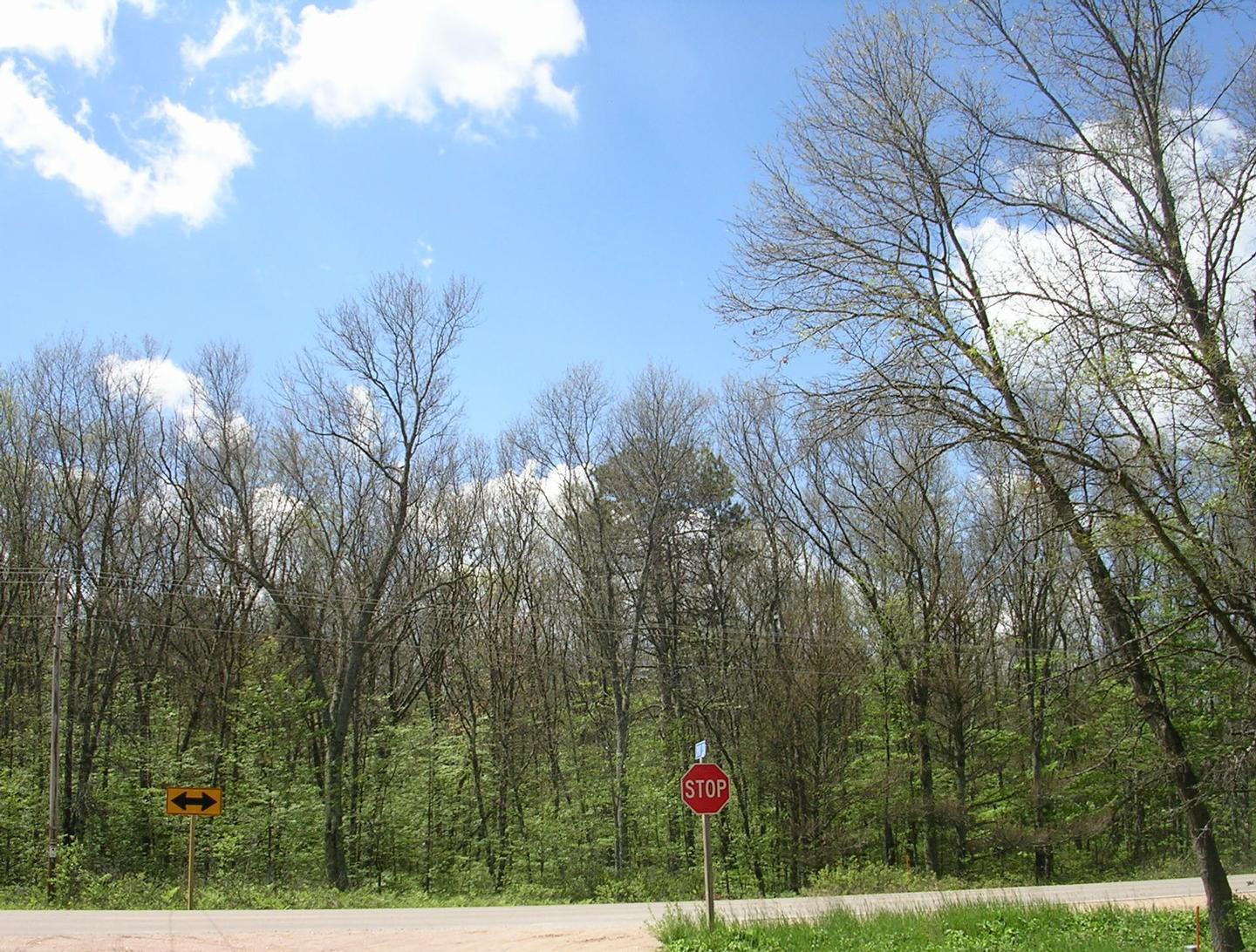 Gypsy Moth Traps - CLARE CONSERVATION DISTRICT