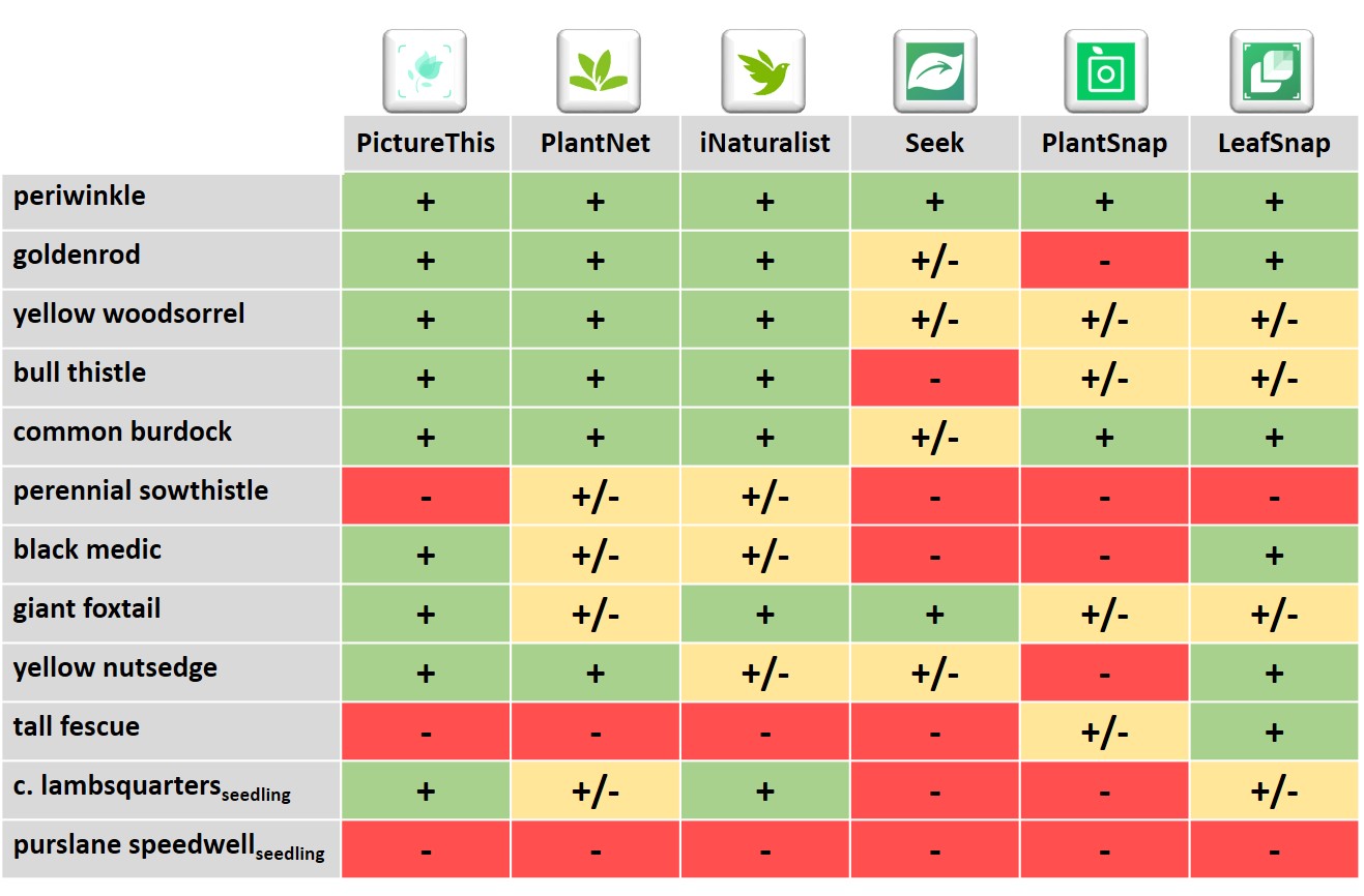 Plant Identification There S An App For That Actually Several Landscaping