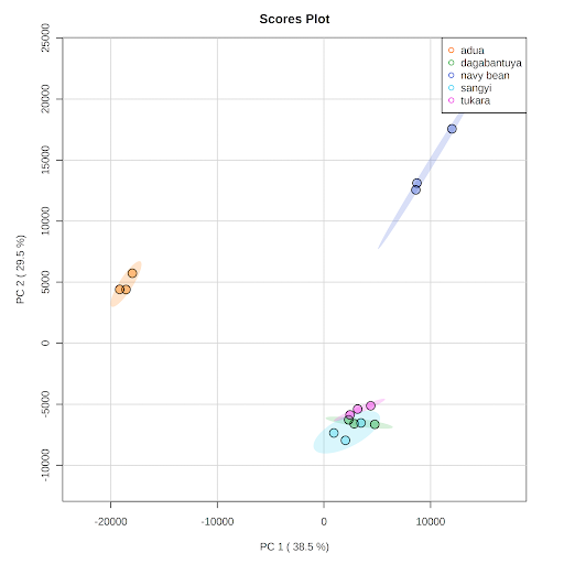 metabolome_graph