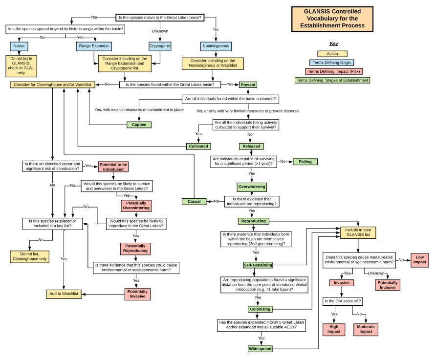 Invasive Species Research Graphic Organizer Infographic Bilingual Bundle