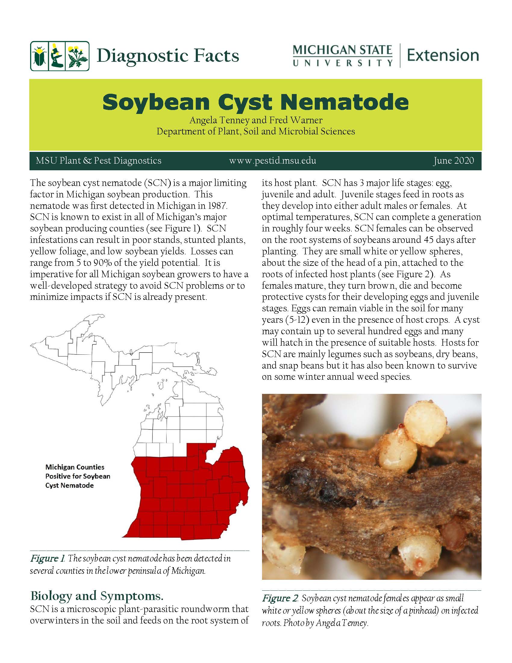 Nematodes on soybean