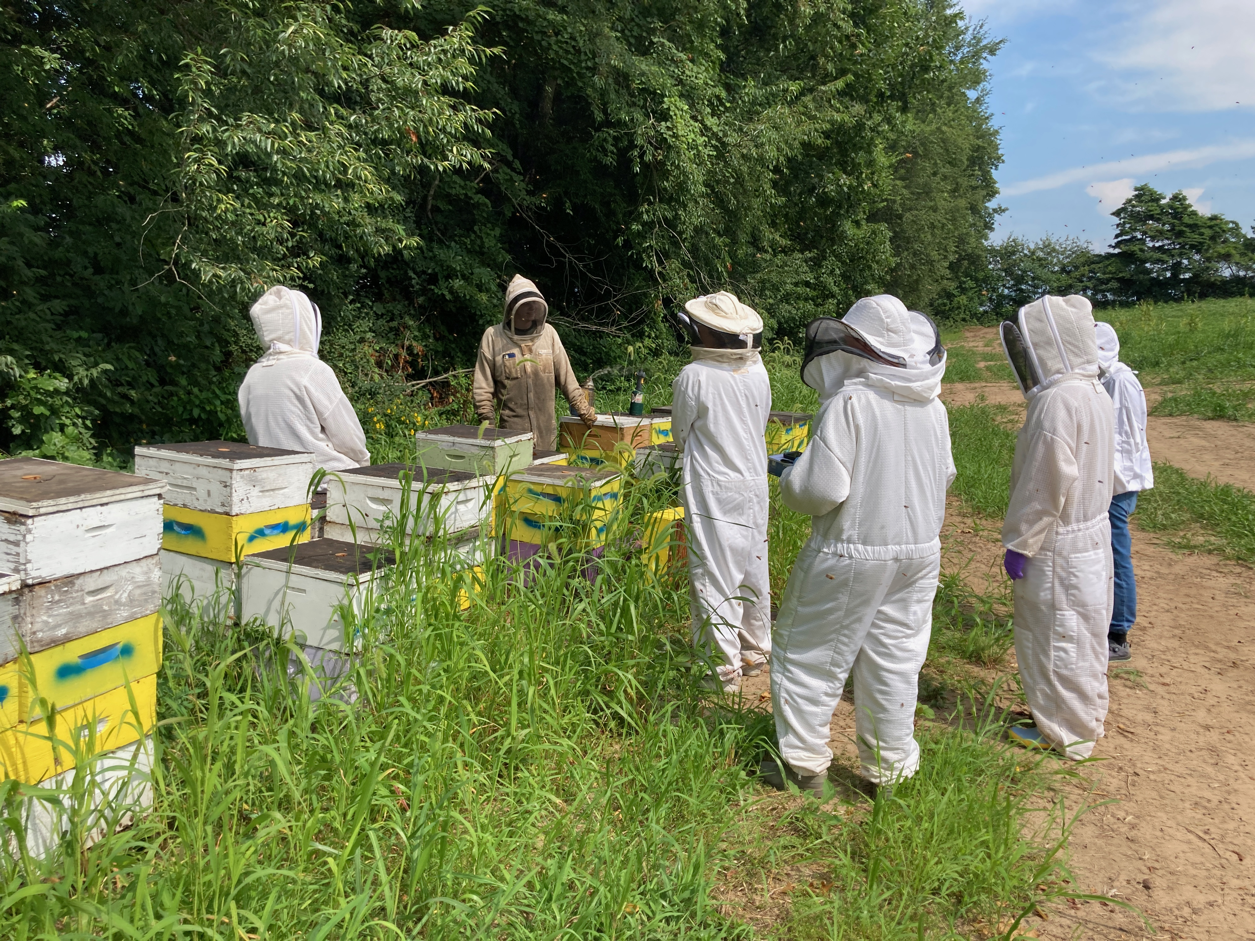 2021 Needs assessment of Michigan small-scale beekeepers