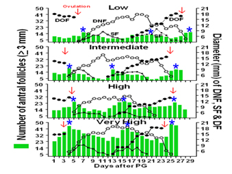 image of a chart