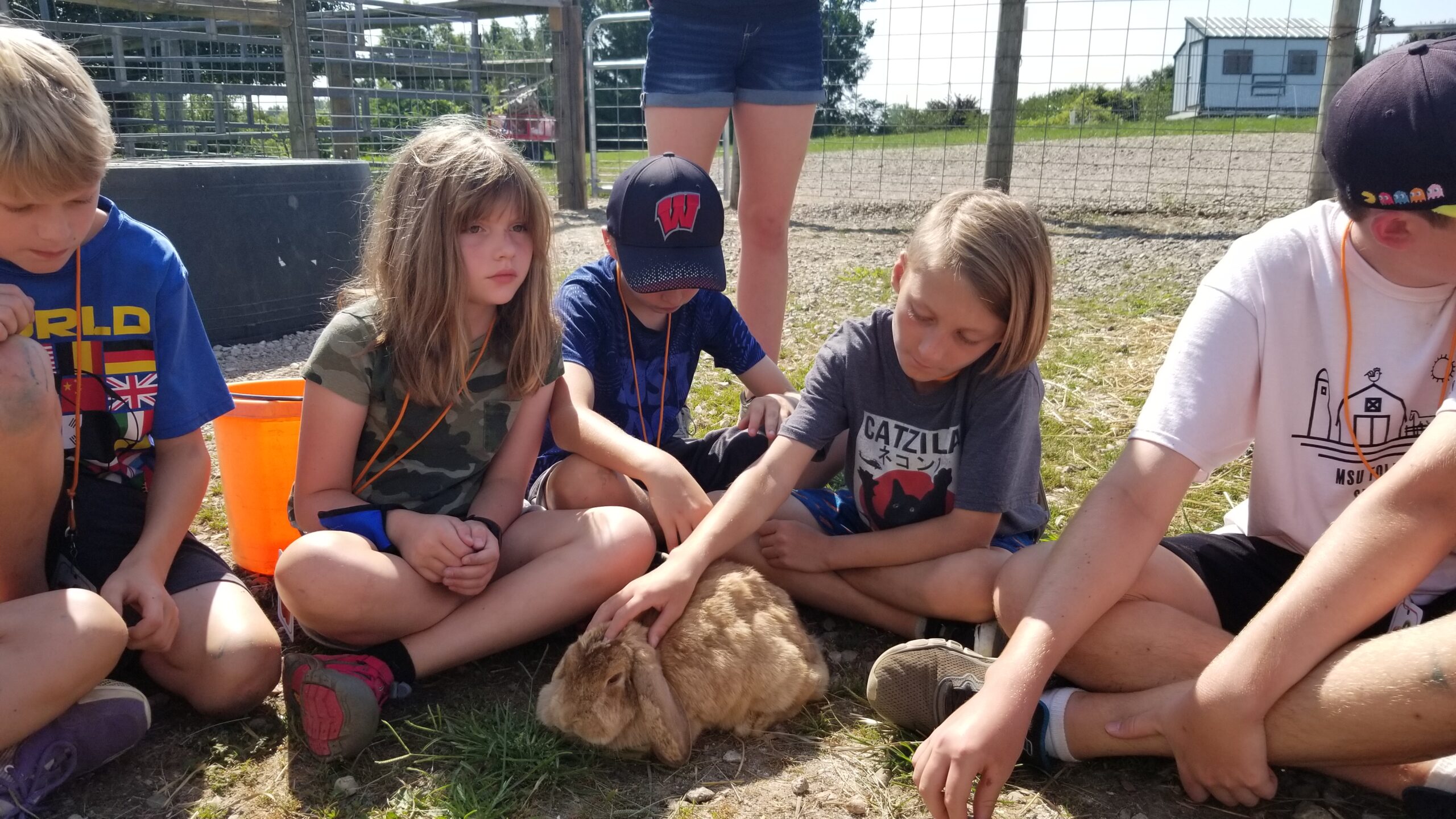 Splish Splash Water Camp 2021 Tollgate Farm And Education Center 