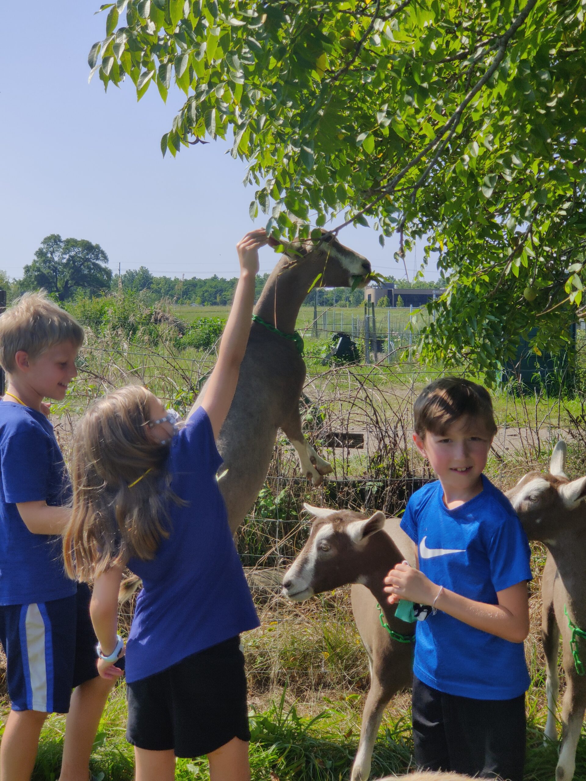 Splish Splash Water Camp 2021 Tollgate Farm And Education Center 