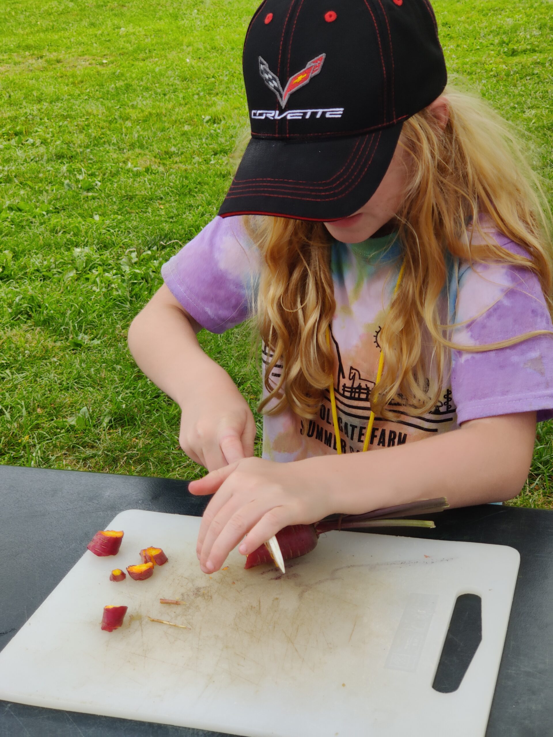 Splish Splash Water Camp 2021 Tollgate Farm And Education Center 