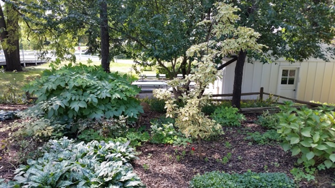 The Rose Garden - Tollgate Farm and Education Center