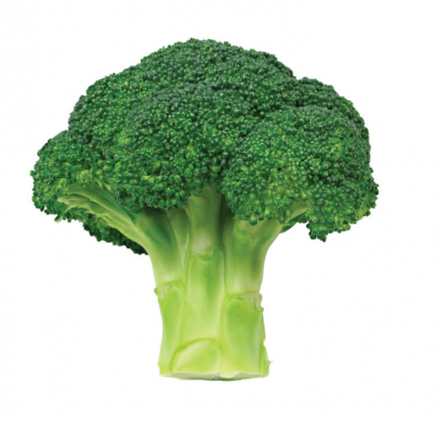 michigan fresh recipe broccoli rice casserole msu extension michigan fresh recipe broccoli rice