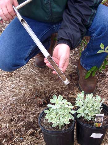 A soil probe being used
