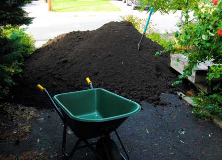 Fill Dirt vs. Topsoil: Differences and Which to Use
