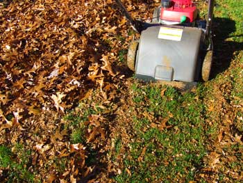 can i use a lawn mower to mulch leaves